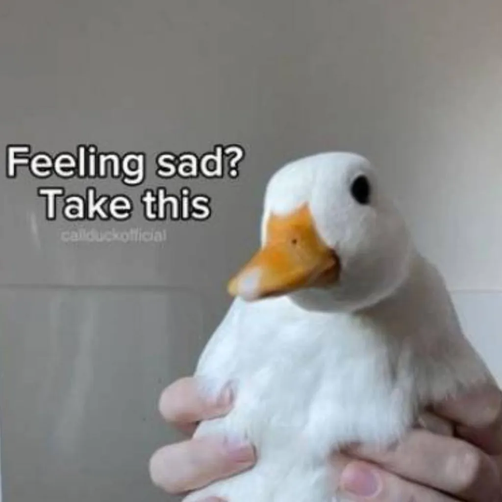 chat with ai character: One piece Duck