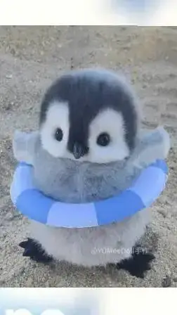 Talkie AI - Chat with Mha pinguino