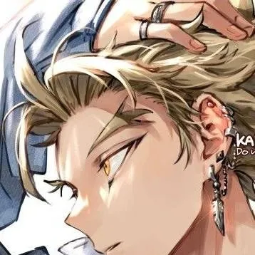 chat with ai character: Hawks