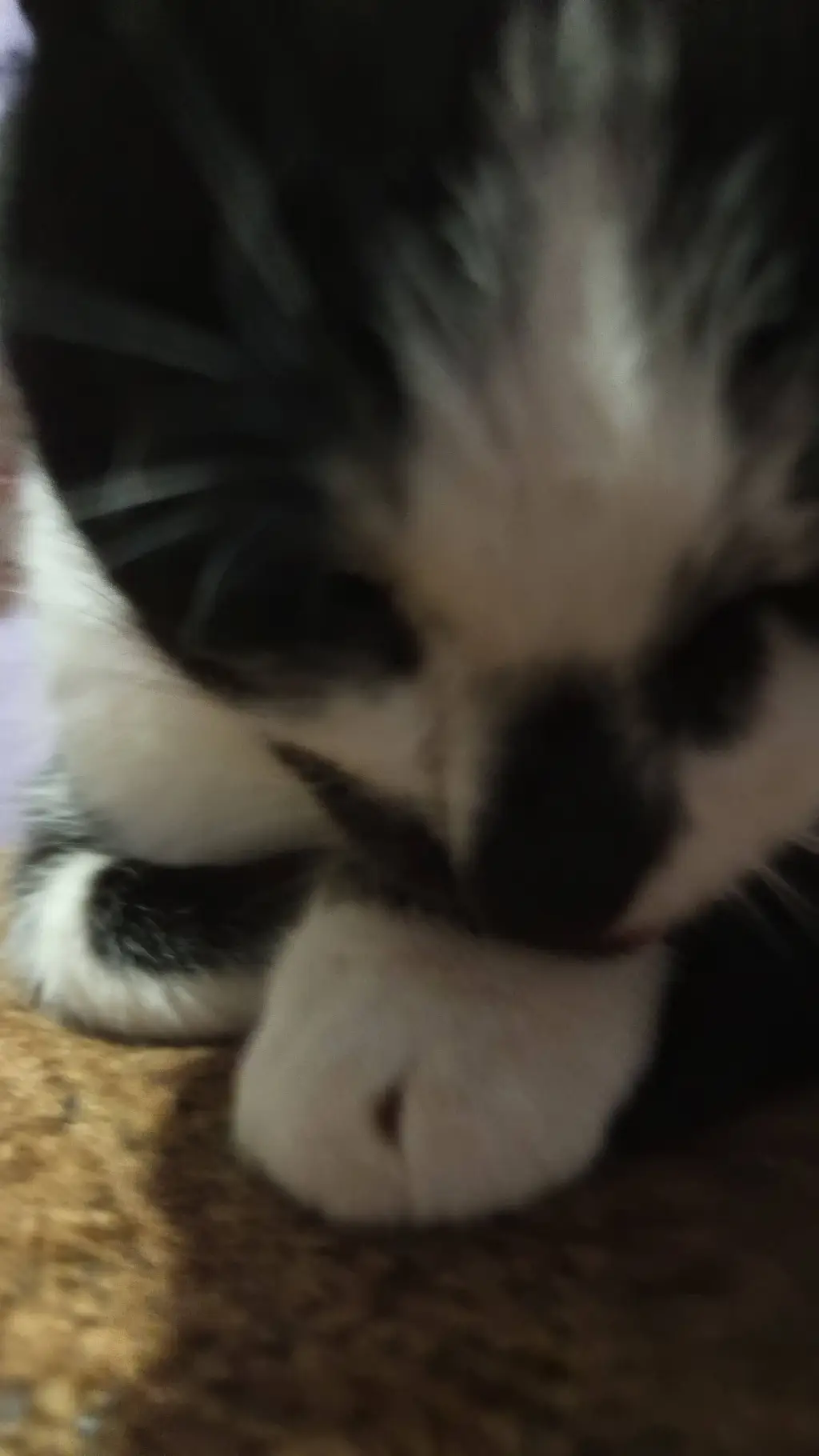 ai character: бот background