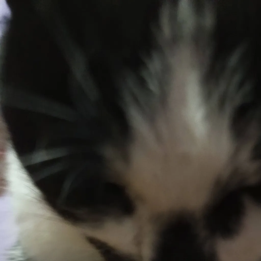 chat with ai character: бот