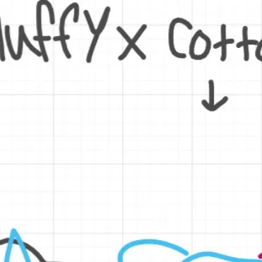 chat with ai character: Cottoncatxfluff 