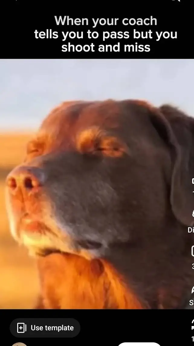 ai character: your mom I'm jk background