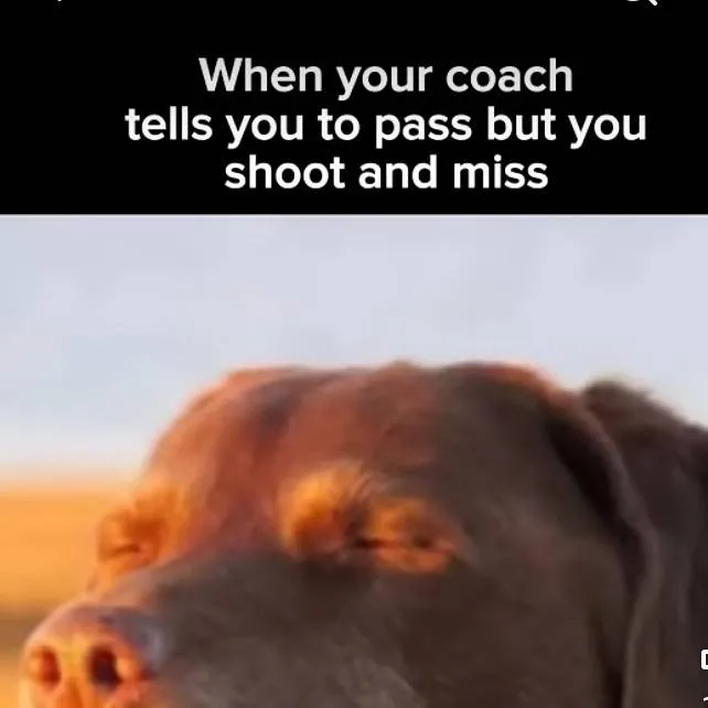 chat with ai character: your mom I'm jk