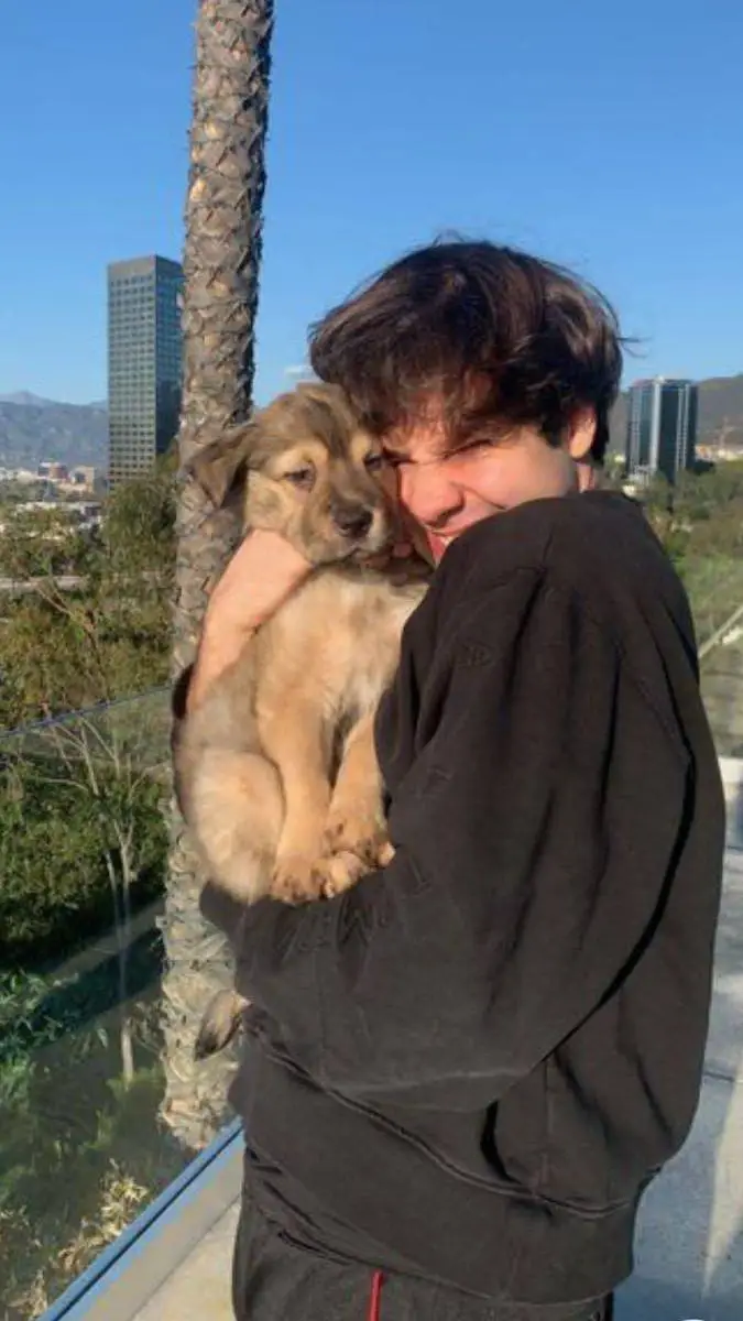 ai character: federico background