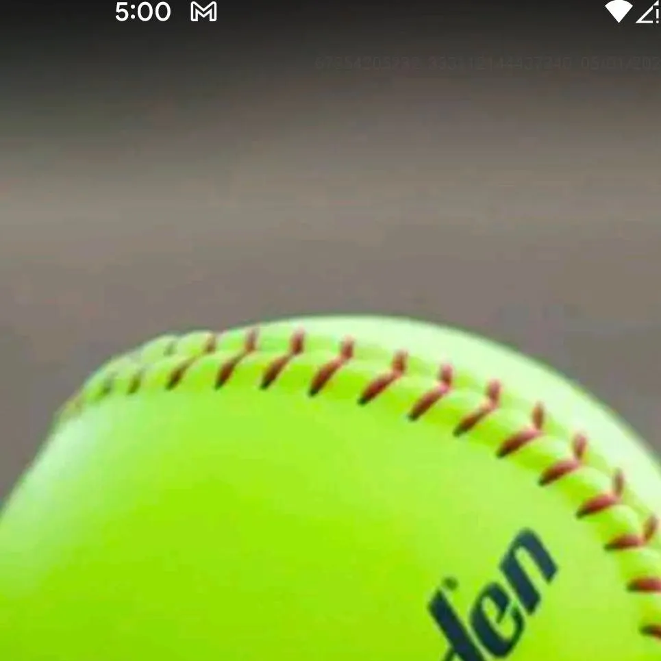 chat with ai character: softball 