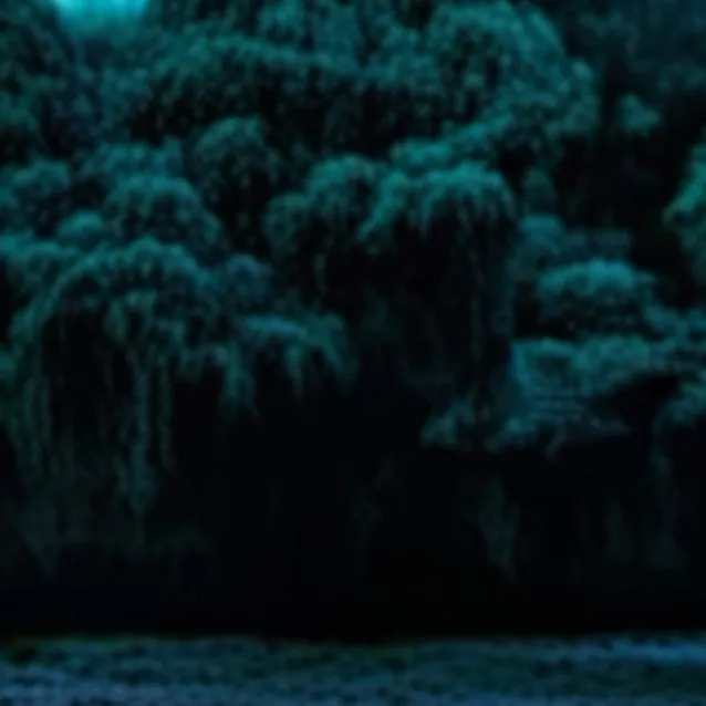 chat with ai character: Kamila faker