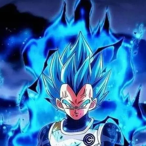 chat with ai character: SSB Super Vegeta 