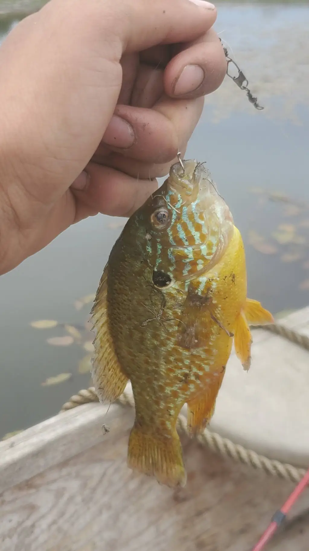 ai character: Chill Fishing  background