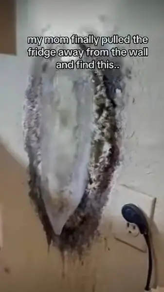 ai character: stranger things  background