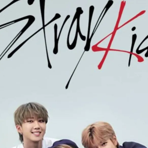 chat with ai character: StrayKids Audition