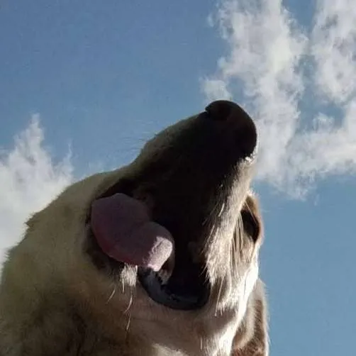 chat with ai character: marley mae adams 