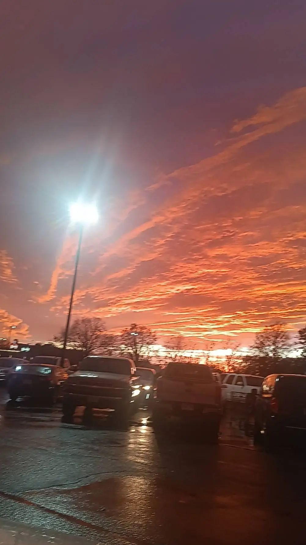 ai character: sturniolo triplets background