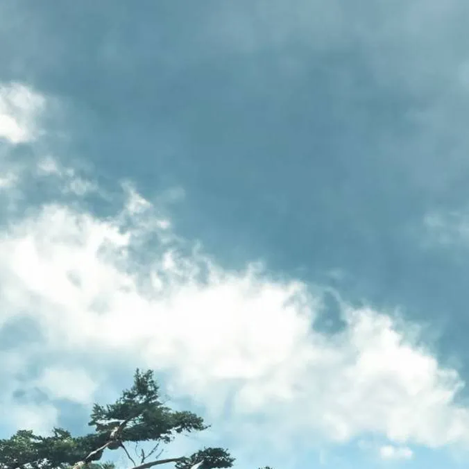 chat with ai character: Tu cumpleaños KNY