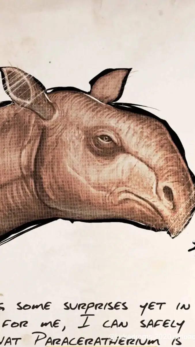 ai character: Paracer *ARK:E* background