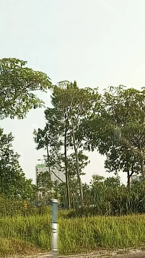 ai character: Park background