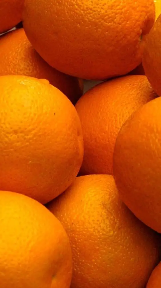 Talkie AI - Chat with Orange