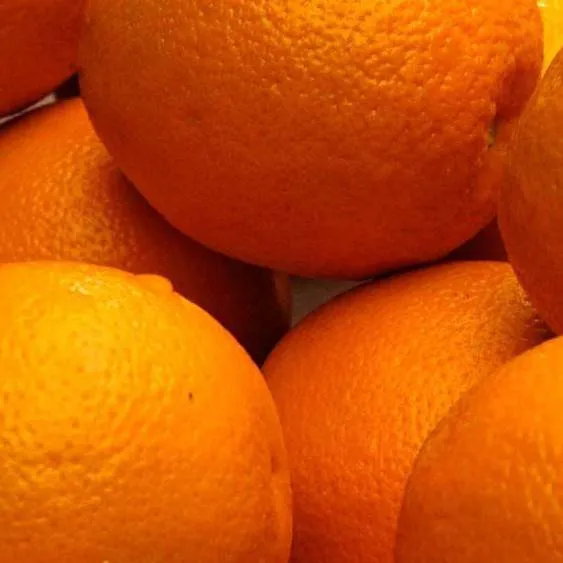 chat with ai character: Orange