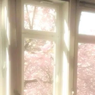 chat with ai character: America school