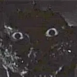 chat with ai character: godzilla horror