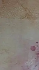 ai character: miku background