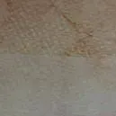 chat with ai character: miku