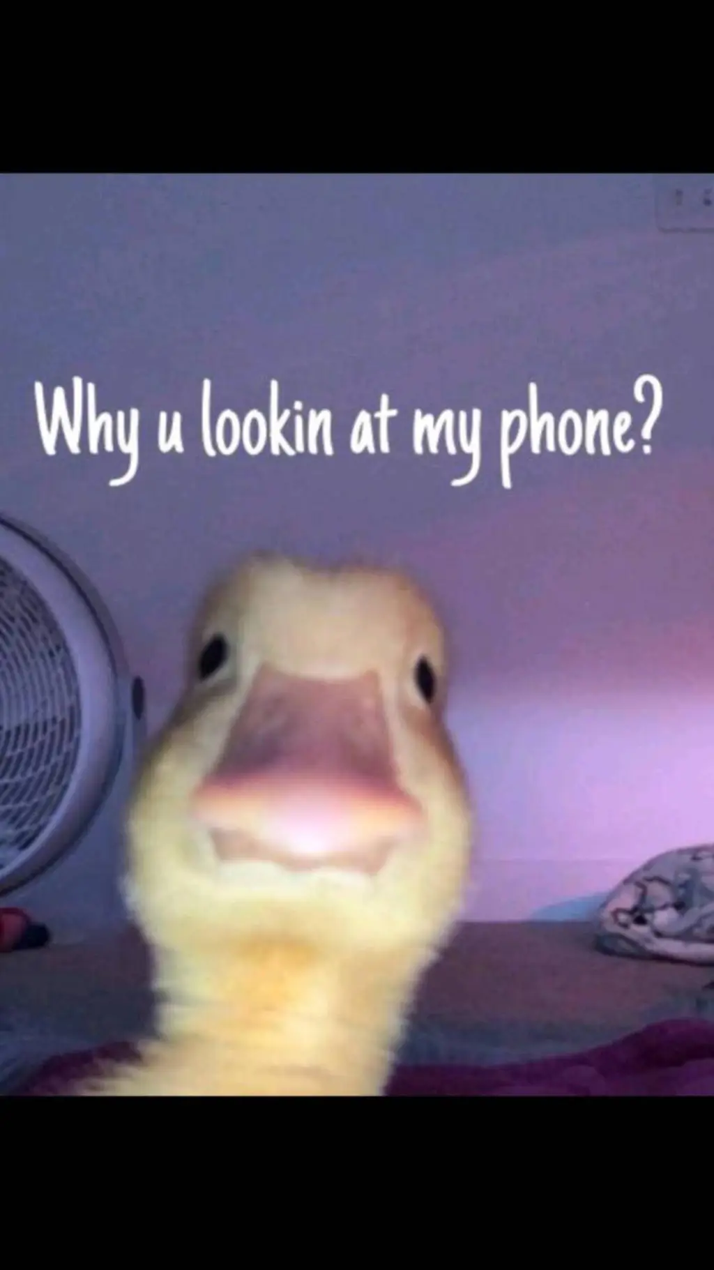 Talkie AI - Chat with comment memez