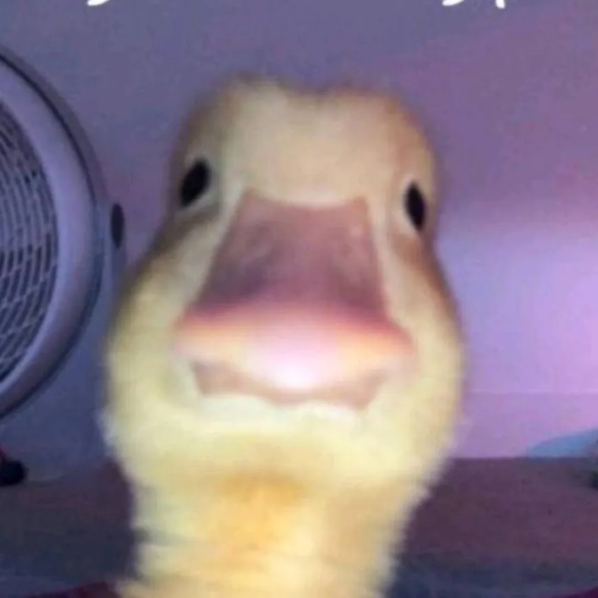 chat with ai character: comment memez