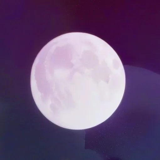 chat with ai character: genshin sleepover