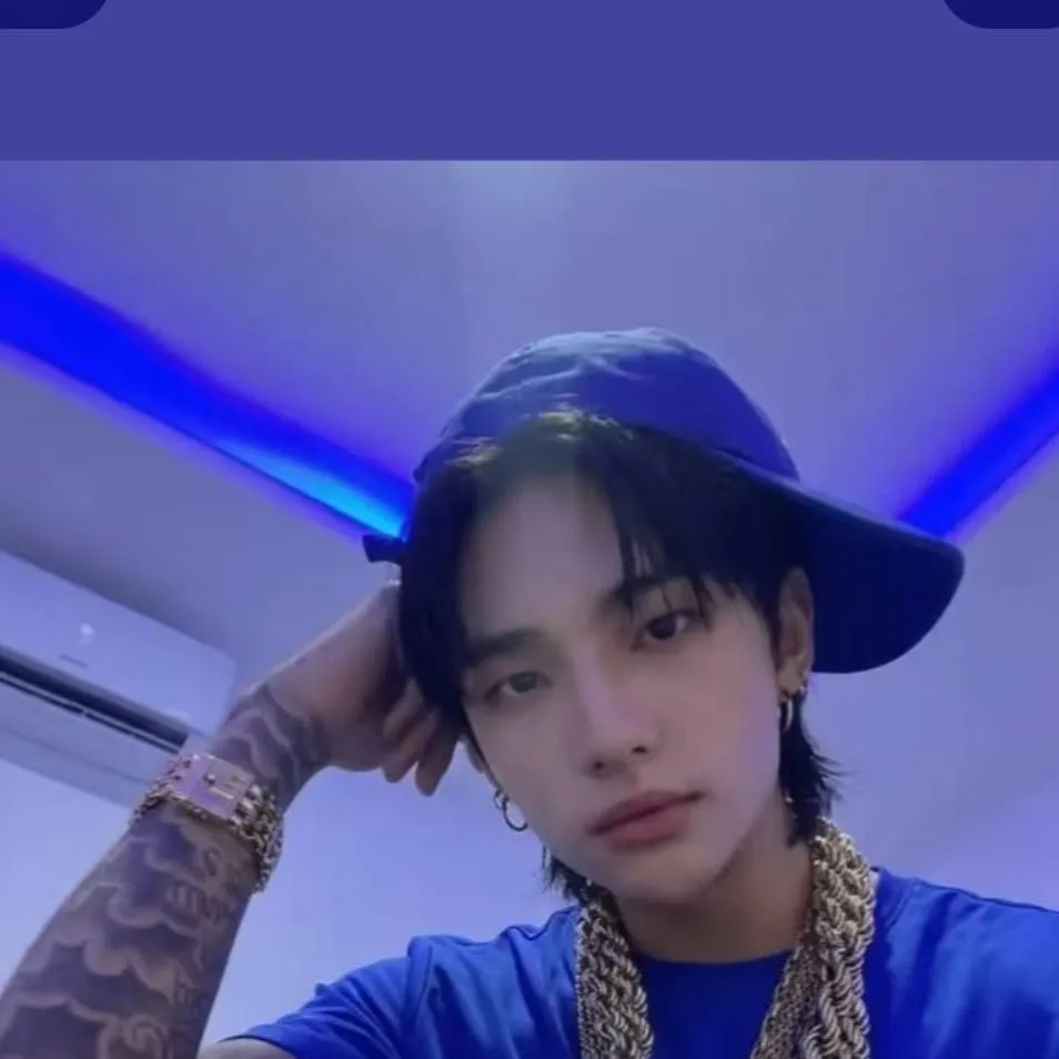 chat with ai character: ❤️🦡 HYUNJIN 🦡❤️