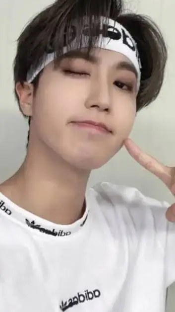 ai character: Han Jisung background