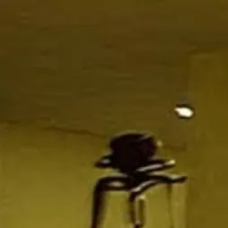 chat with ai character: backroons