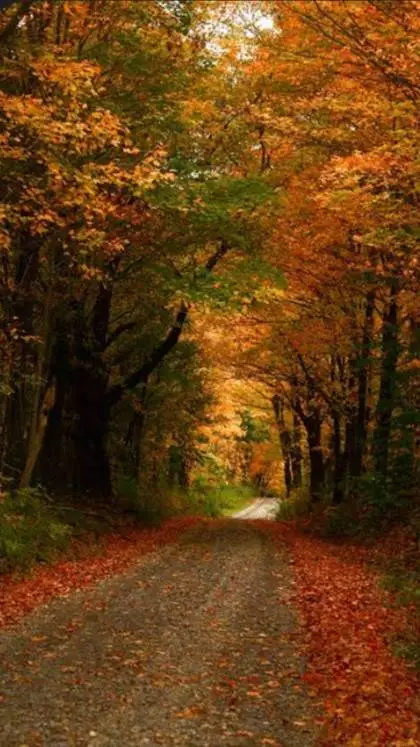 ai character: ★*TPC!!*★ background