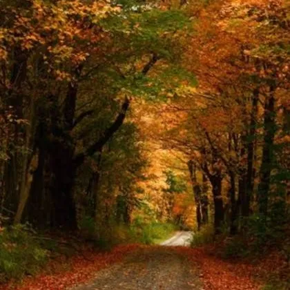 chat with ai character: ★*TPC!!*★