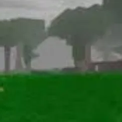 chat with ai character: TPC x 99 forest 