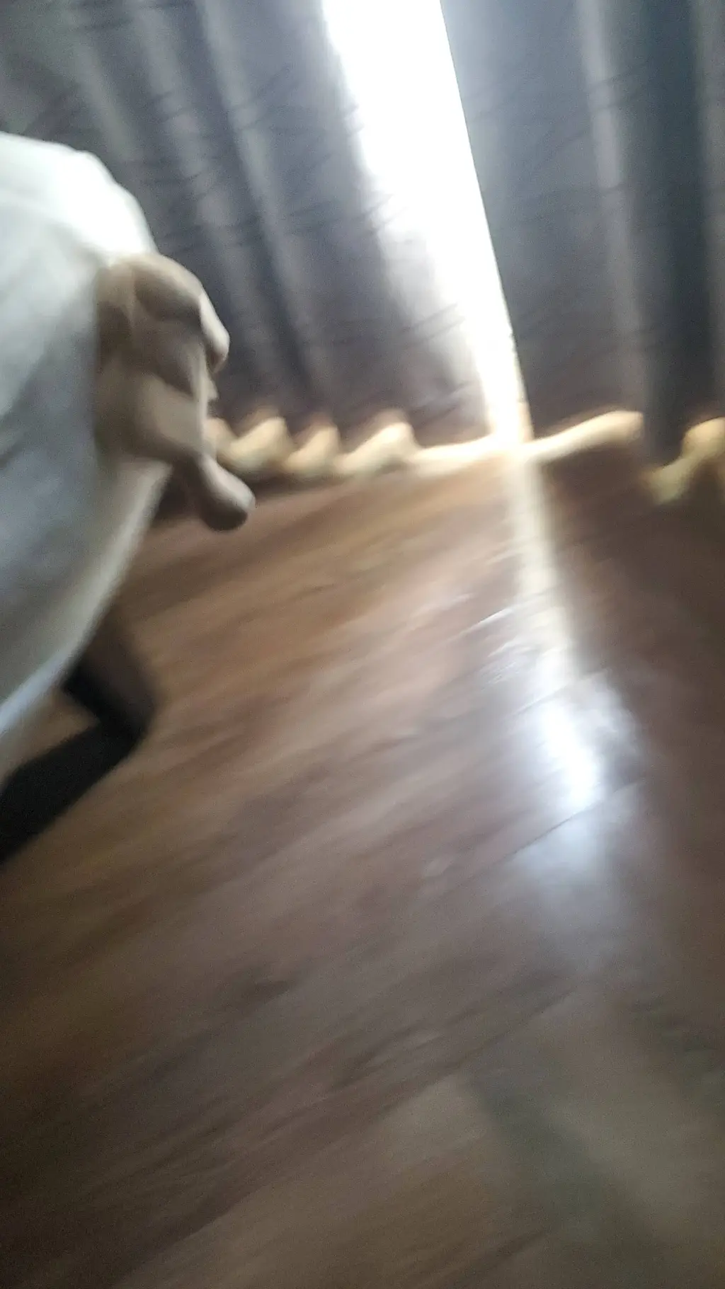 ai character: Nosey background