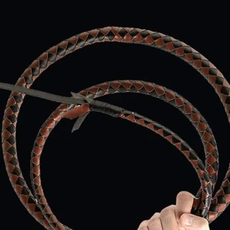 chat with ai character: ...