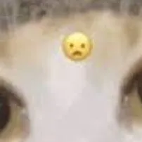 chat with ai character: I love tik____