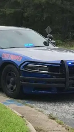 Talkie AI - Chat with trooper whiting 