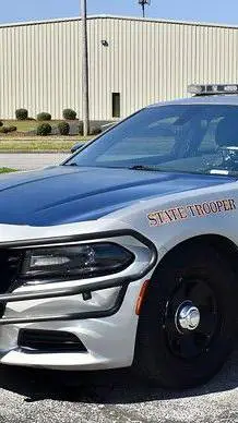 Talkie AI - Chat with trooper whiting 