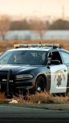 Talkie AI - Chat with trooper whiting 