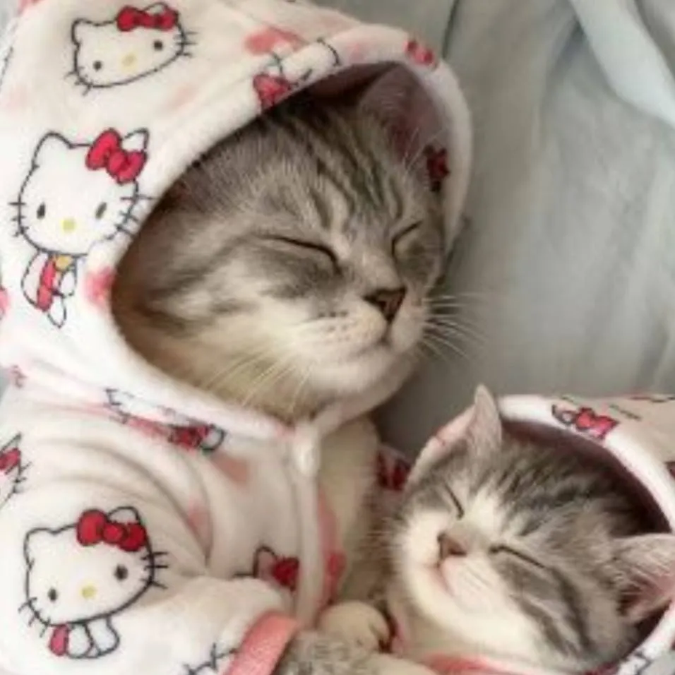 chat with ai character: snowball and baby