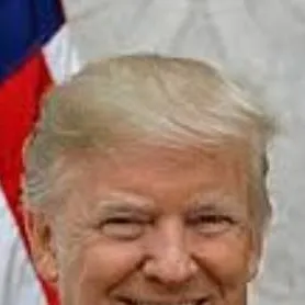 chat with ai character: Donald Trump