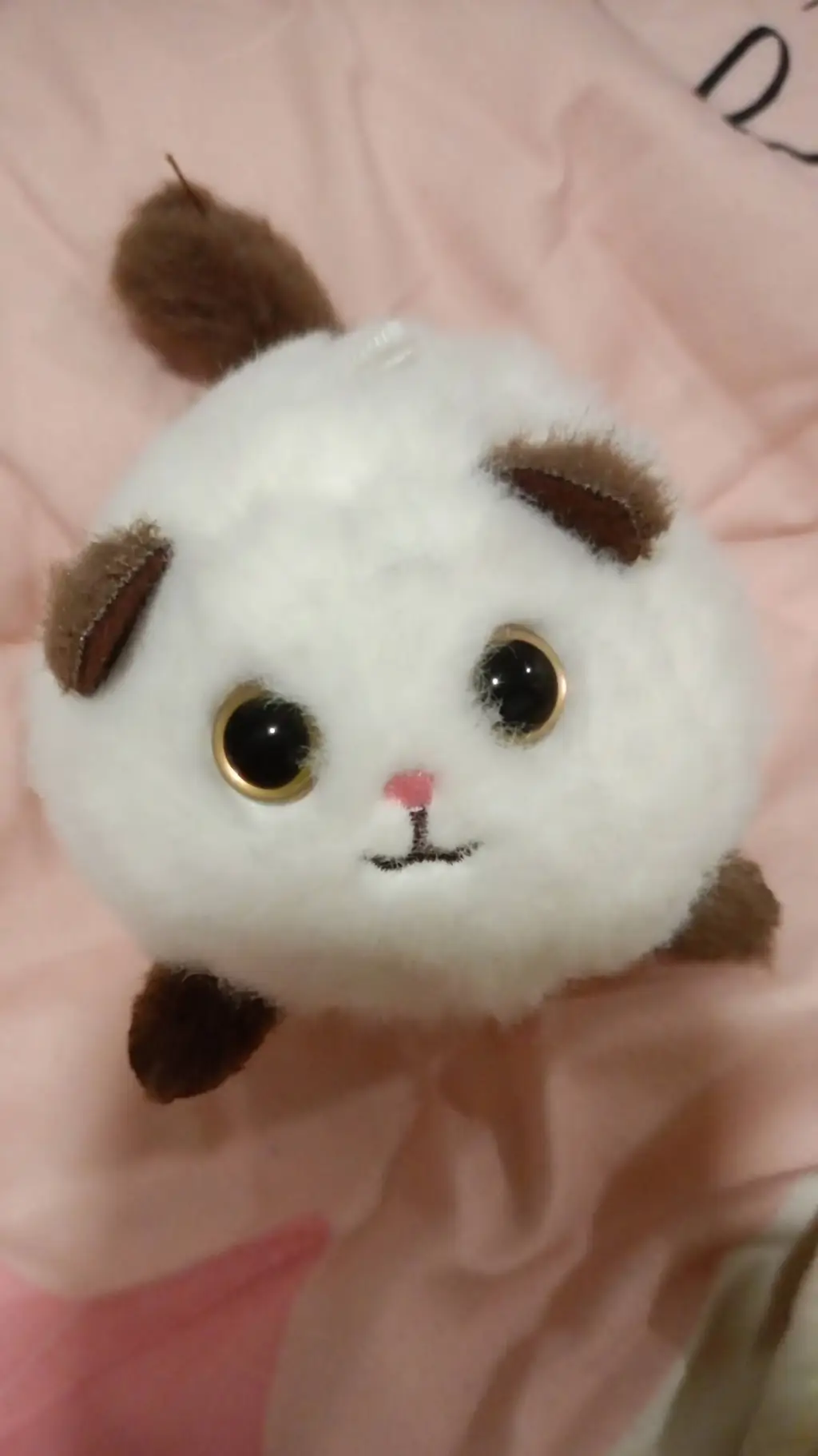 ai character: Spinny(the cat)❤😇 background