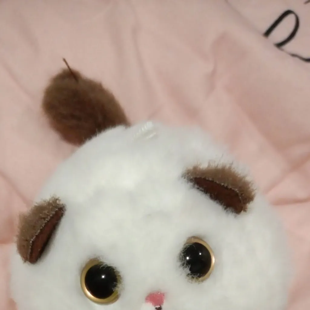 chat with ai character: Spinny(the cat)❤😇