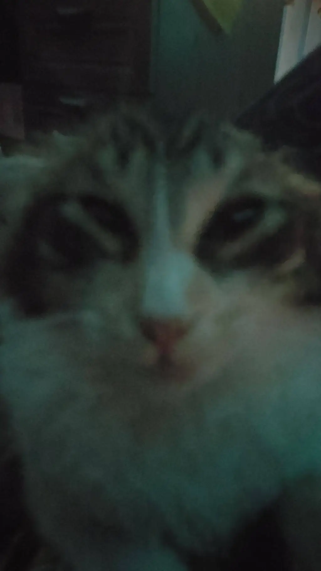 ai character: ST background