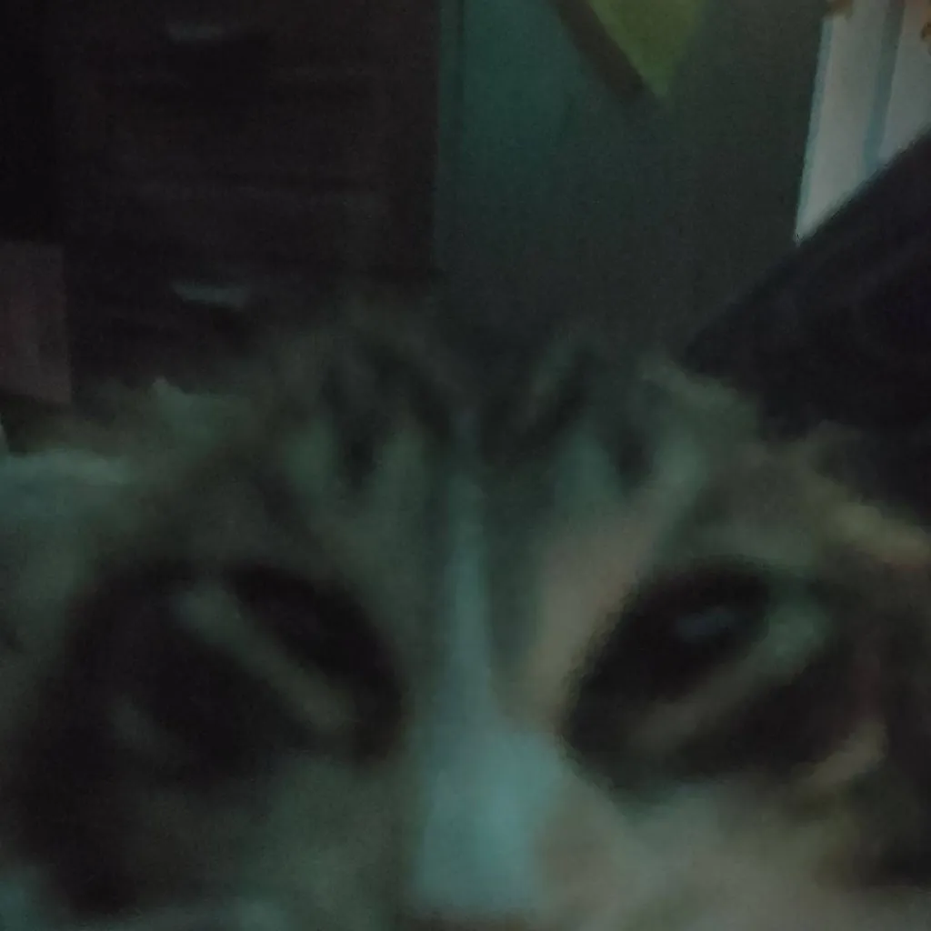 chat with ai character: ST