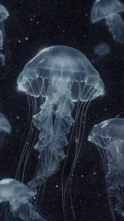 ai character: Forsaken island... background