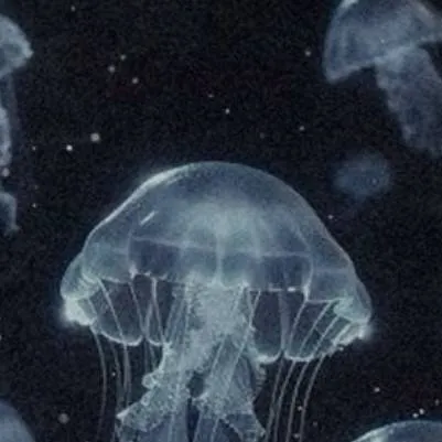 chat with ai character: Forsaken island...