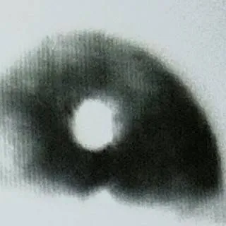 chat with ai character: white eye